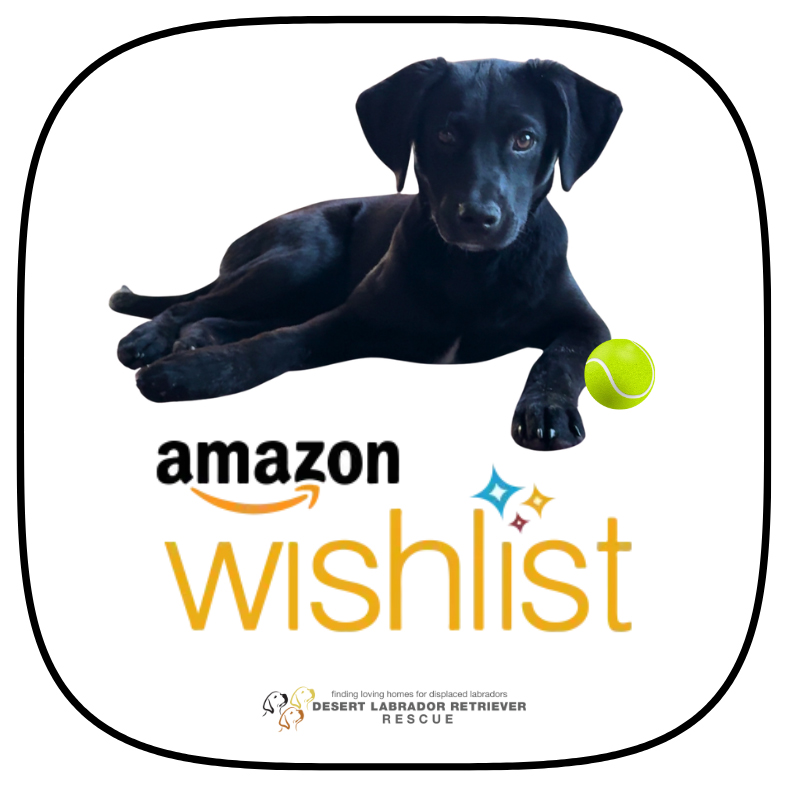 Amazon Wishlist